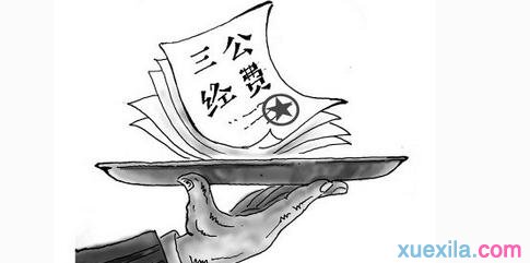 经费2017年申请专项经费请示范文 -商标专题-