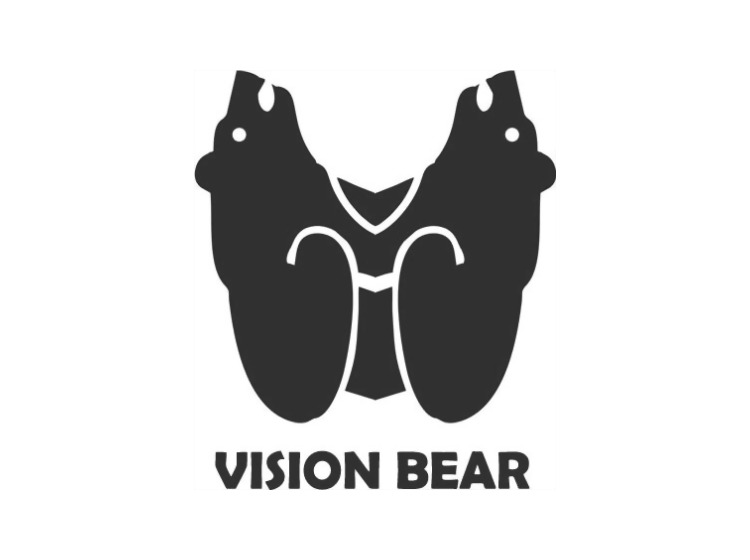 VISION BEAR