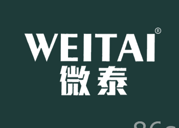 男装商标注册流程-尚标-微泰