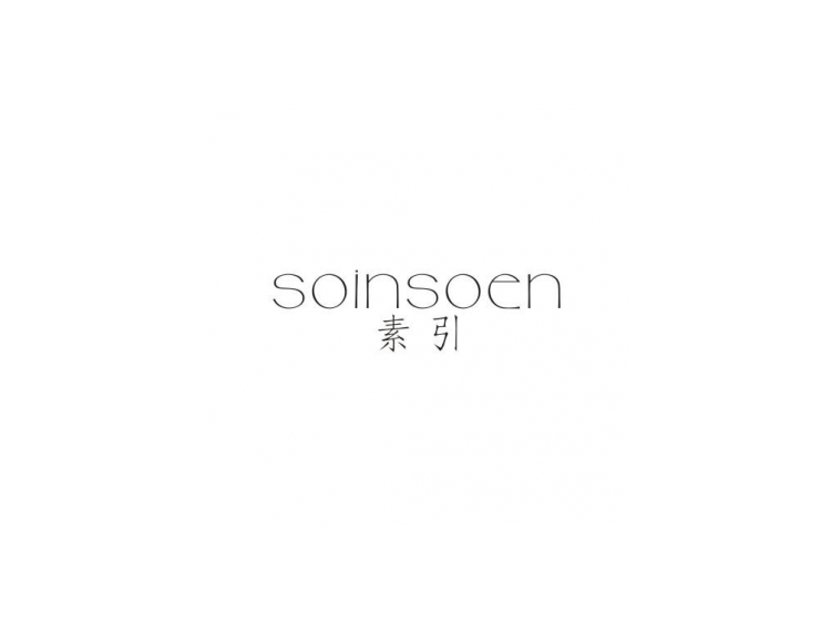 素引soinsoen