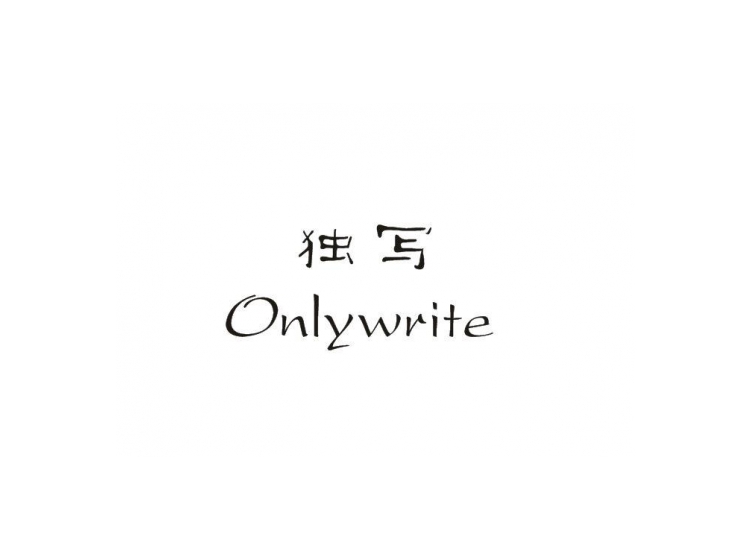 独写onlywrite