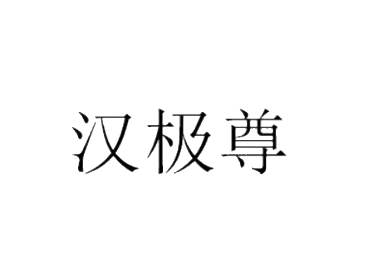 汉极尊