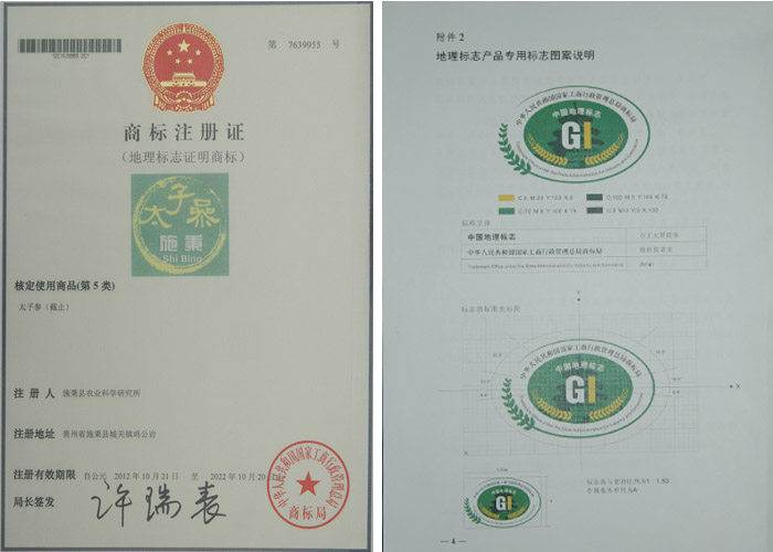 20140918134853751.jpg