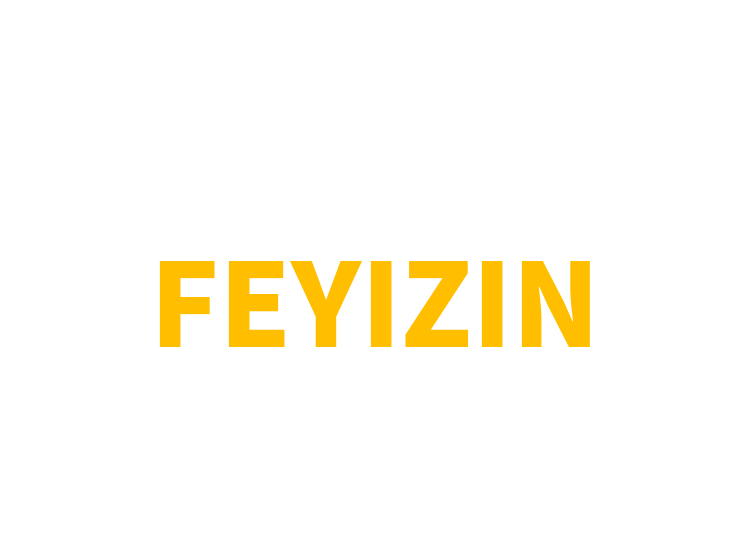 FEYIZIN