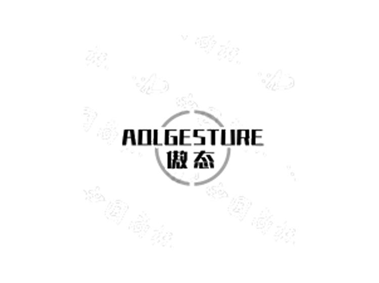 AOLGESTURE 傲态