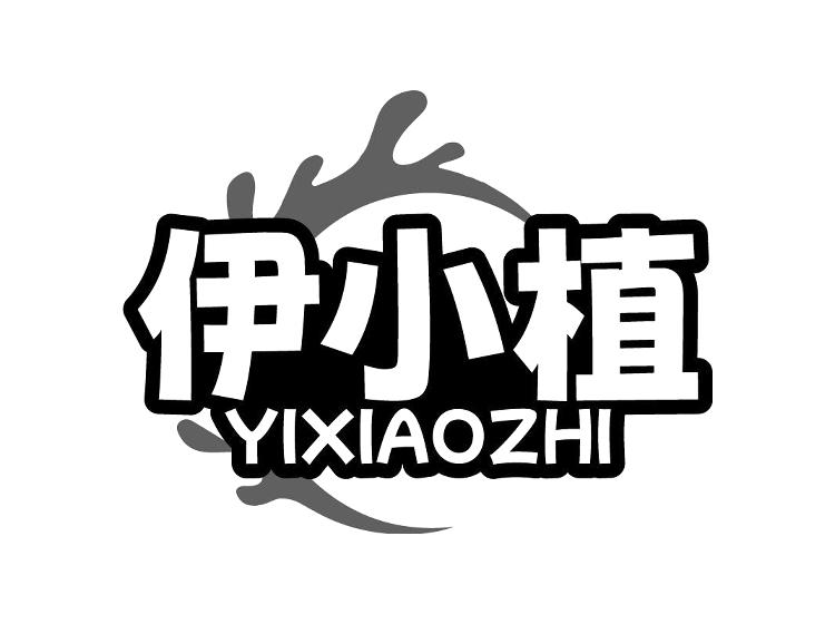 伊小植