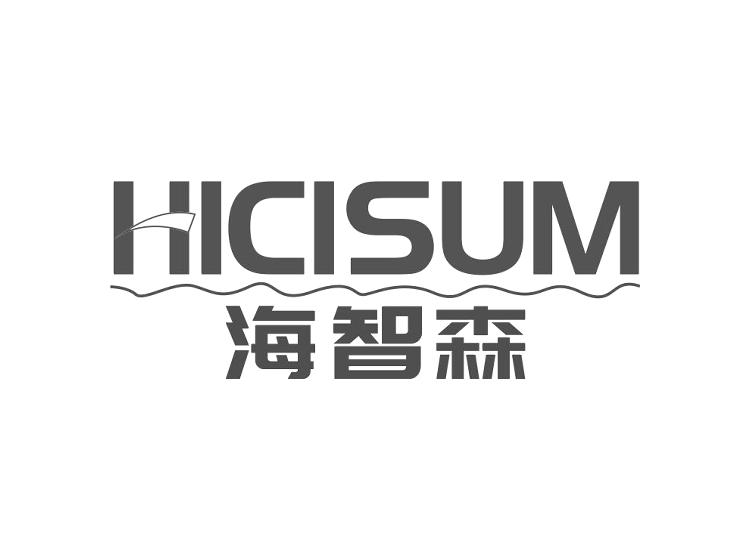 HICISUM 海智森