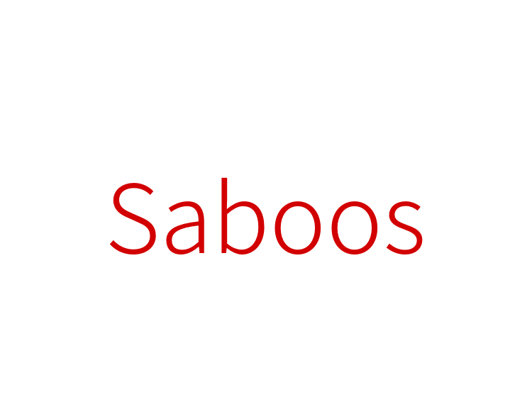 Saboos