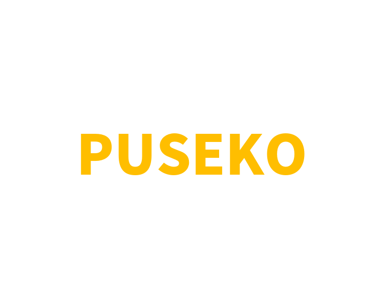 PUSEKO