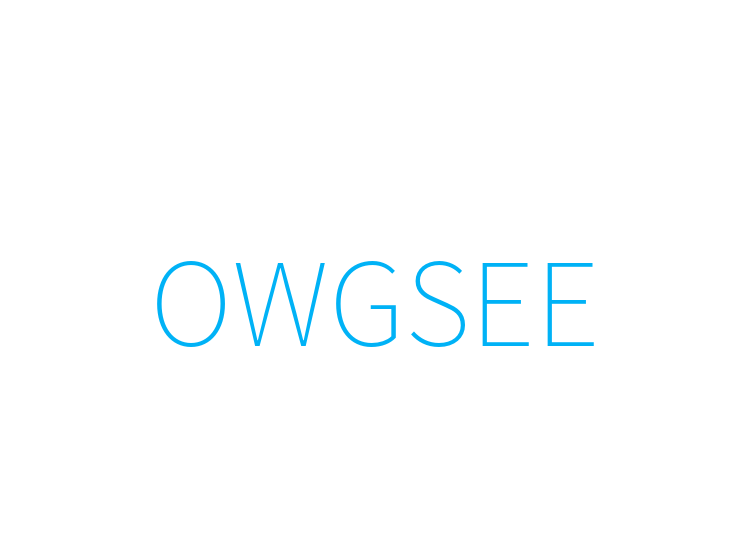 OWGSEE