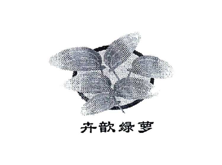 卉歆绿萝