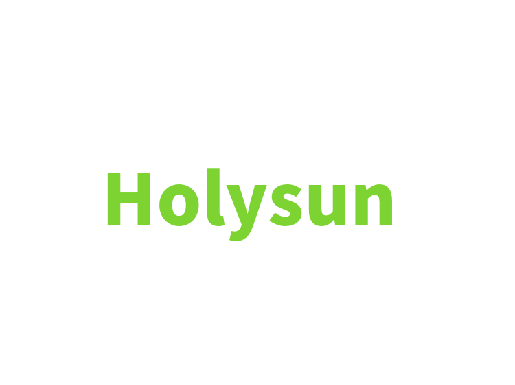 Holysun 