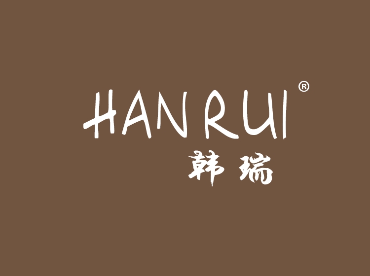 韩瑞冬 韩瑞保险