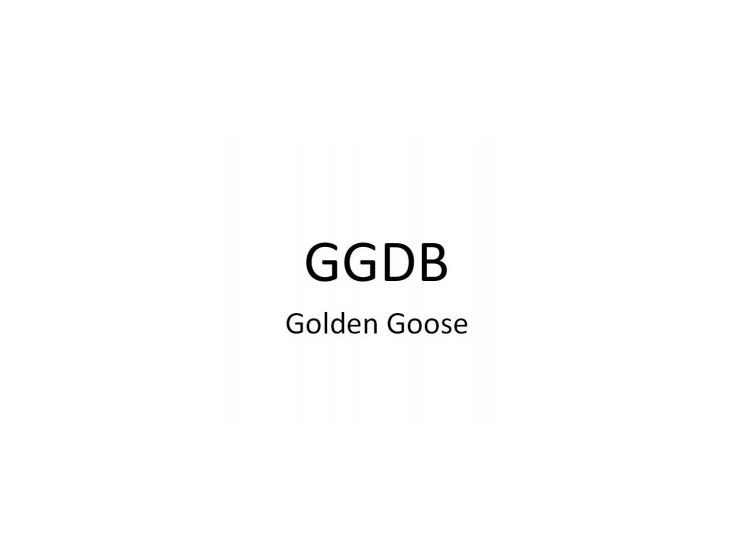ggdb golden goose(已售出)
