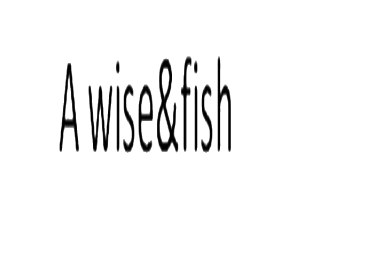 A WISE&FISH