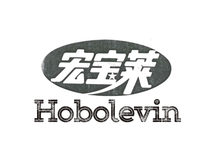 宏宝莱 hobolevin